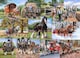 image 1 of The Heavy Mob 1000 Piece Jigsaw Puzzle