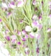 image 5 of 100cm Artificial Foliage with Small Flowers - Purple