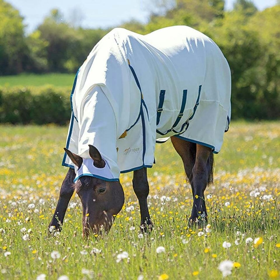 image 1 of Shires Highlander Plus Sweet-itch Horse Combo Rug - White - 78in