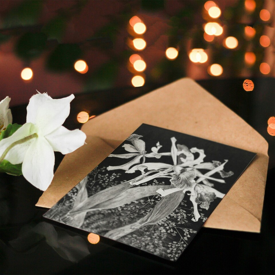 image 1 of Theo van Hoytema Art Card Orchids Black and White Floral