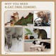 image 8 of PawHut 125cm Cat Tree for Indoor Cats, Kitten Scratching Post, Grey