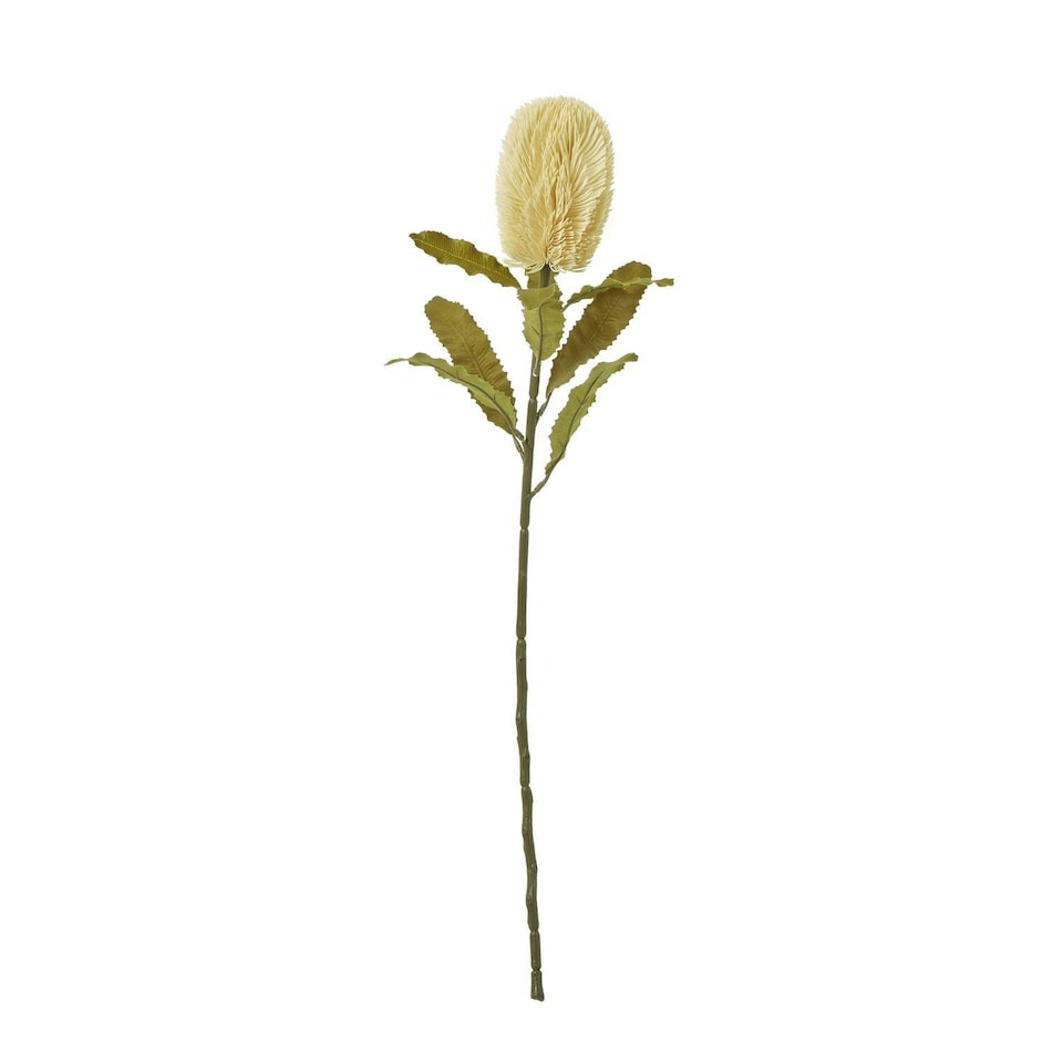 image 1 of Hill Interiors Banksia Serrata Artificial Flower - Cream - One Size