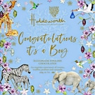 Holdsworth Chocolates Standard