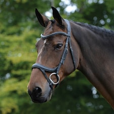 Collegiate Comfitec Vogue Leather Horse Bridle - Black - Cob
