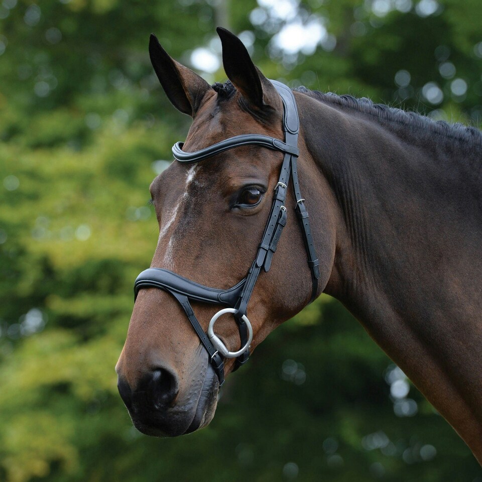 image 1 of Collegiate Comfitec Vogue Leather Horse Bridle - Black - Cob
