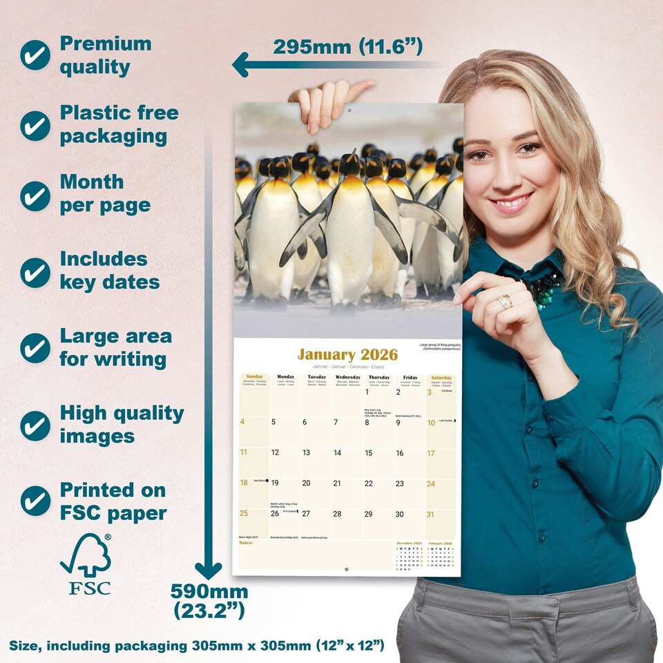 image 1 of Penguins 2026 Calendar | Square Wall Calendar | Animal Gift | Plastic Free Packaging | by Avonside Publishing