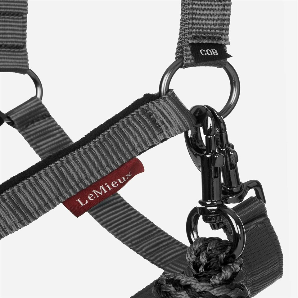 image 1 of LeMieux Vogue Headcollar & Leadrope Red | Full