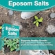 image 6 of Vitax Epsom Salts 1.25kg Fast Acting Magnesium Feed for Gardens & Houseplants