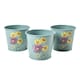 image 8 of RHS Asteraceae Herb Pots
