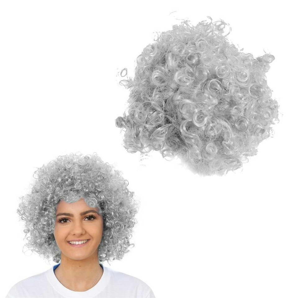 image 1 of Adult Grey Afro Wig – Fancy Dress Costume Hairpiece Grey | One Size