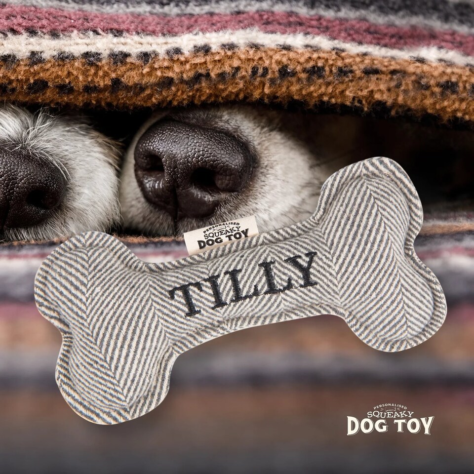 image 1 of History & Heraldry Pre-Personalised Squeaky Bone Dog Toy - Tilly