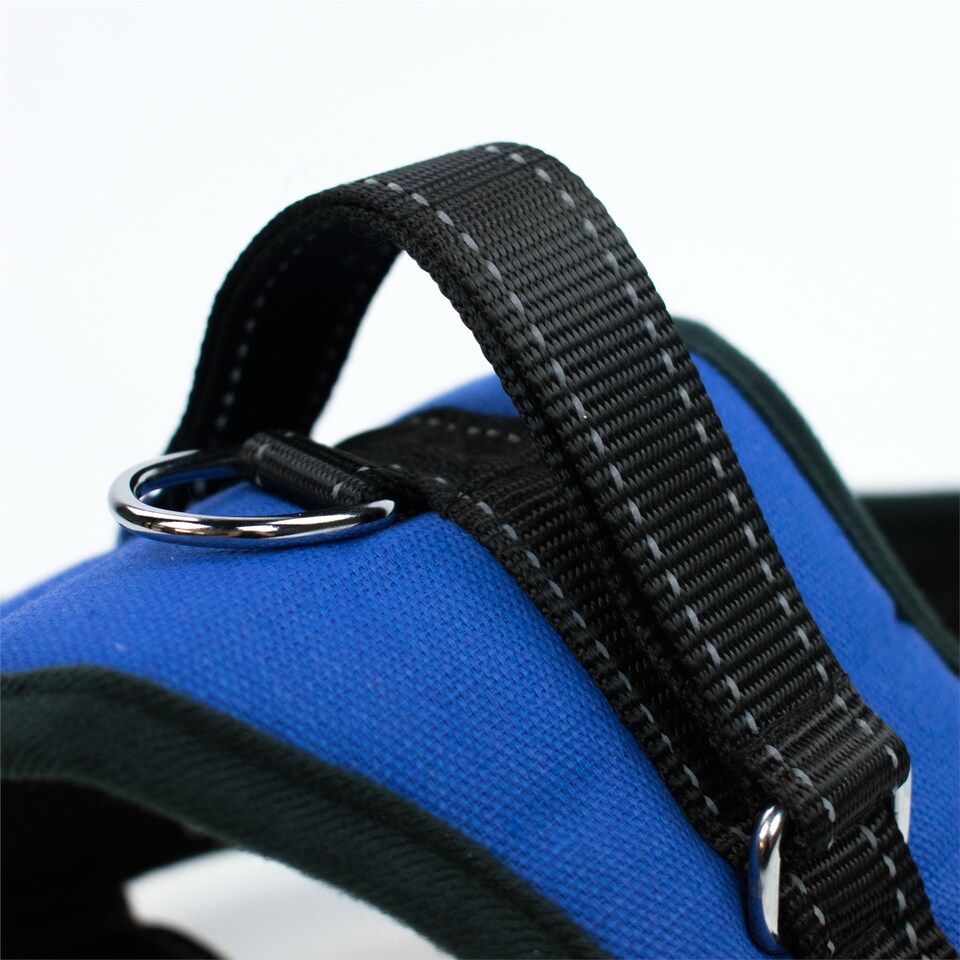 image 1 of KCT Large Blue Padded Dog Harness Blue | L