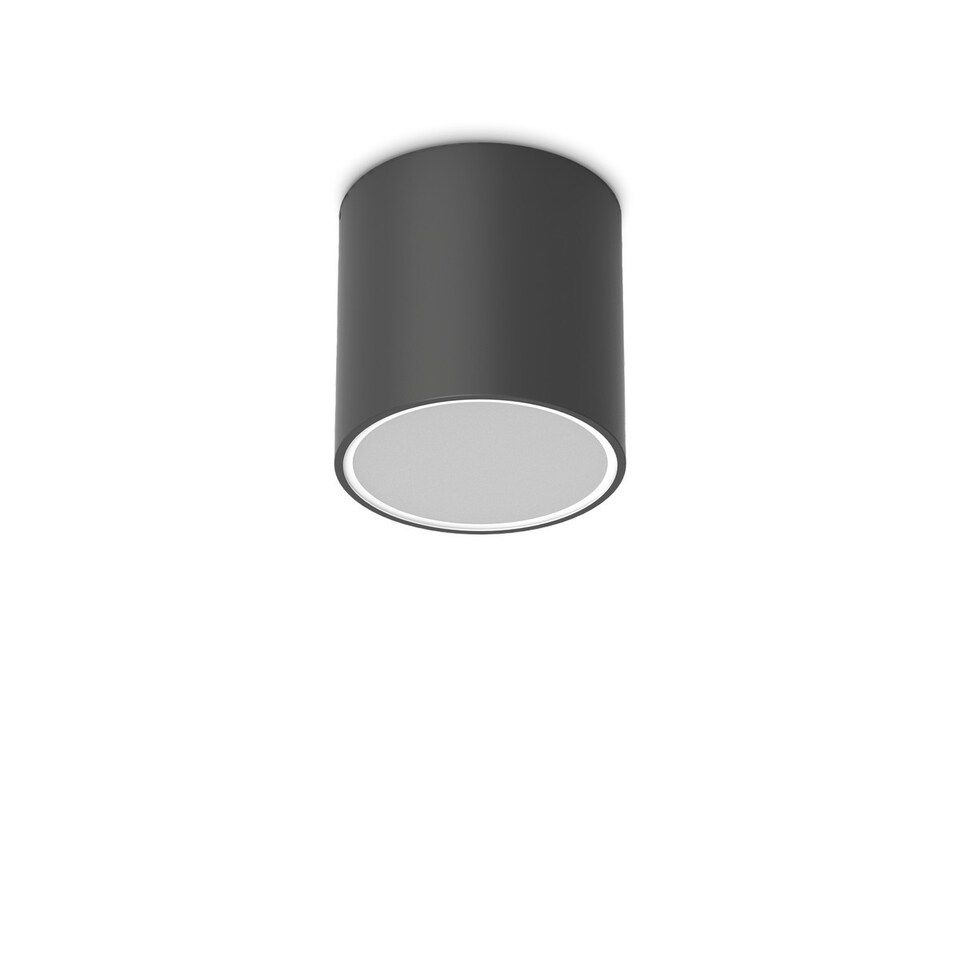 Techo 15.3cm Outdoor Surface Mounted Downlight Black IP54