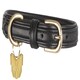 image 4 of Shires Digby & Fox Padded Leather Dog Collar Blue | Size: X-Large
Colour: Royal Blue