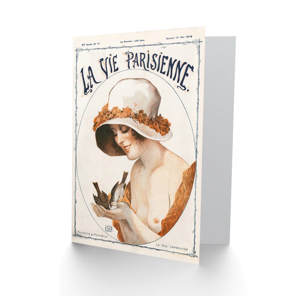 image 1 of La Vie Parisienne Birds Improvised Nest France Paris Card