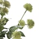 image 3 of Hill Interiors Globe Thistle Spray Artificial Flower - Green - 81cm x 18cm x 18cm