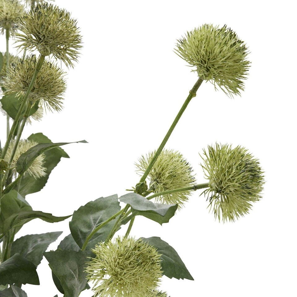 image 1 of Hill Interiors Globe Thistle Spray Artificial Flower - Green - 81cm x 18cm x 18cm