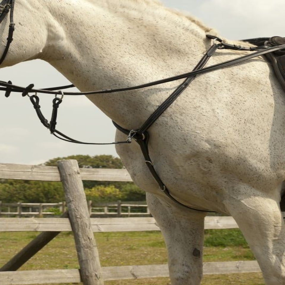 image 1 of Rhinegold Elegance Stitched Breastplate Black | Size: Cob
Colour: Black