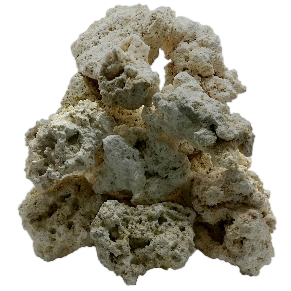 image 1 of Dry Ocean Reef Rock 20kg N/A | 9-12cm Pieces