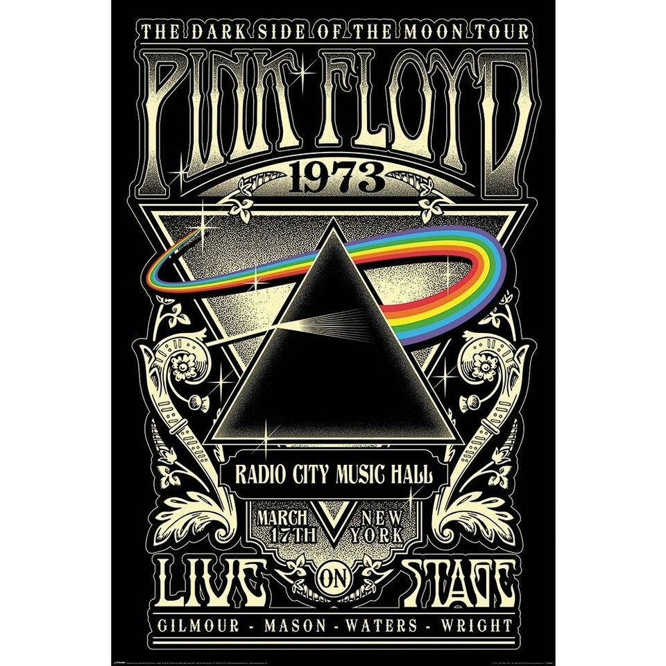Pink Floyd Dark Side Of The Moon Poster - Black/Silver - One Size