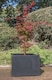 image 3 of Primrose Titanic Black Polystone Cube Planter 70cm