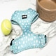 image 4 of Dotty About You - Harness - Small