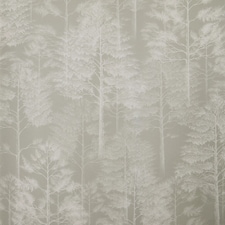 Woodland Whisper Wallpaper in Greige and White | Cream | Neutral