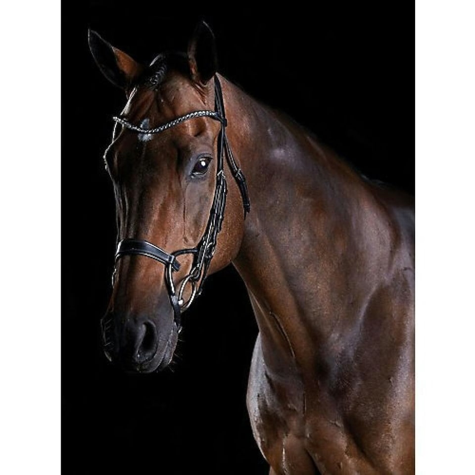 image 1 of Collegiate Comfitec Crystal Leather Bridle - Brown - Full