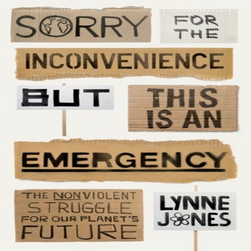 Sorry For The Inconvenience But This Is