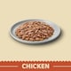 image 5 of James Wellbeloved Grain Free Senior Wet Cat Food Pouches Chicken in Jelly 48 x 85g