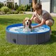image 2 of PawHut Dog Pool Dog Bath Tub Dog Paddling Pool, 100 x 30 cm