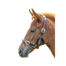 Blenheim Leather Adjustable Horse Headcollar - Havana - Yearling (UTER384)