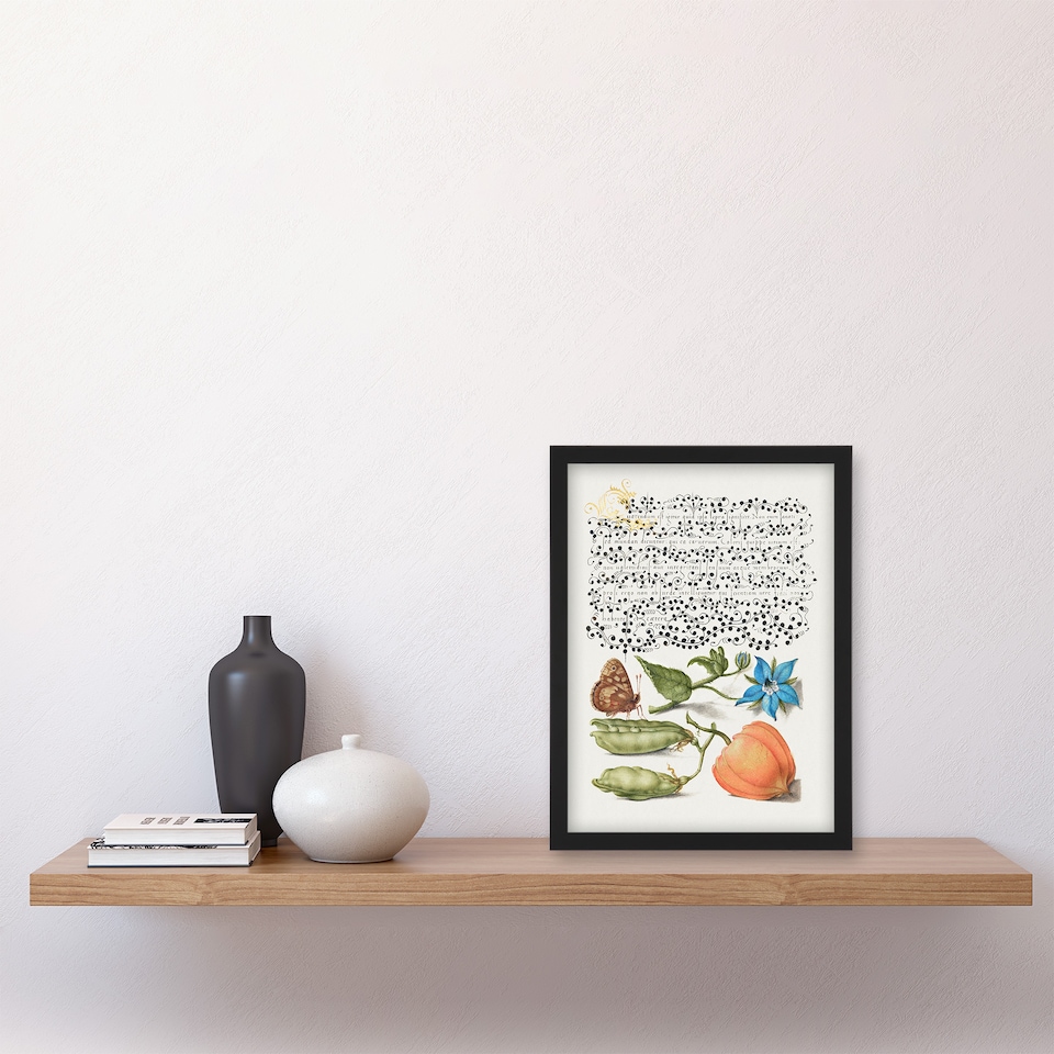 image 1 of Model Book of Calligraphy Framed Wall Art Talewort Pea and Lantern Plant