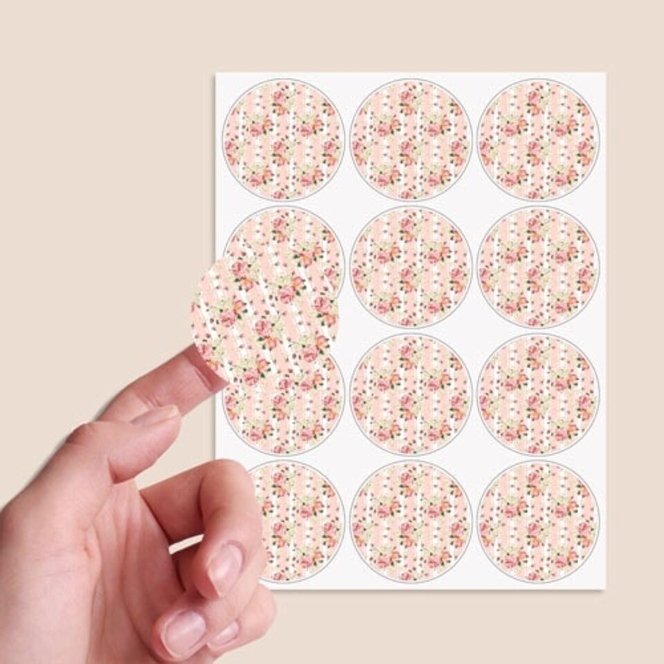 image 1 of Floral Baby Pink Stripes Round Stickers 60mm - Sheet of 12