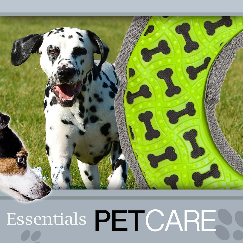 image 1 of Crufts Tough Ring Dog Toy with Squeaker, Durable Chew-Resistant Fetch Toy