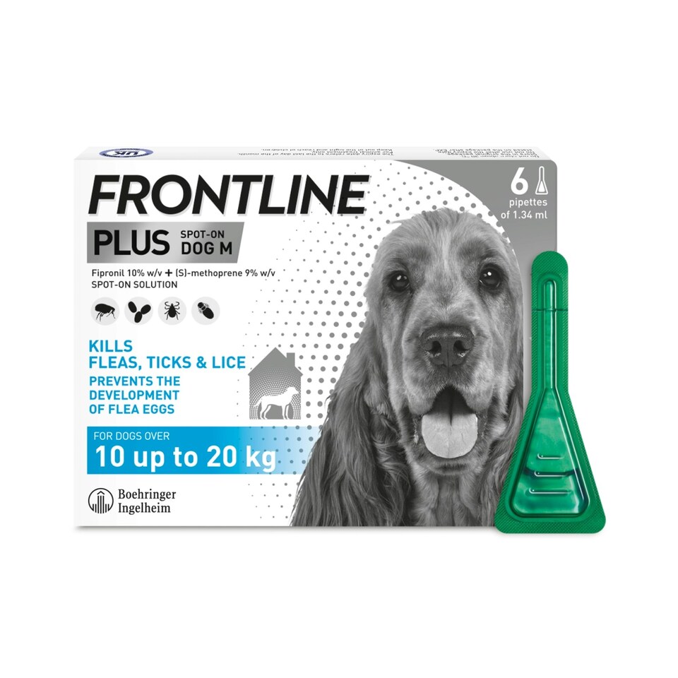image 1 of Frontline Plus Spot On - 6 Pipettes / Medium Dog 10-20kg