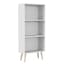 White Bookcase & Pine Leg