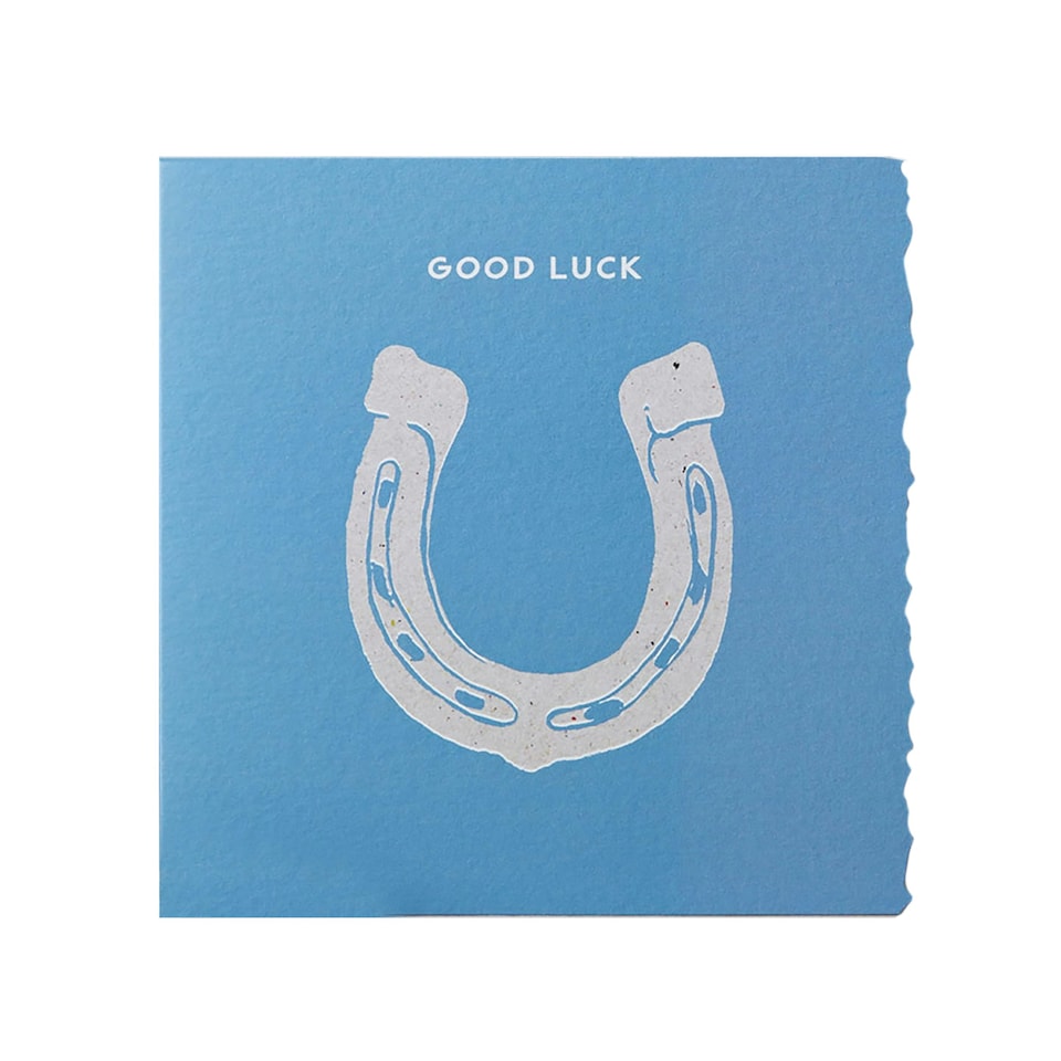 Deckled Edge Colour Block Pony Greetings Card - Good Luck - Horseshoe (Blue) - One Size