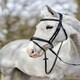 image 8 of LeMieux Competition Flash Bridle Black | X-Full