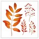 image 1 of Orange autumn leaves (Picture Frame) White | XS