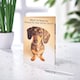 image 3 of Humour Birthday Card - Dog Cake