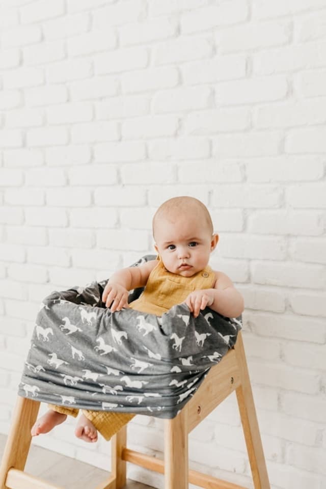 image 1 of Copper Pearl Nursing & Car Seat Cover Colt