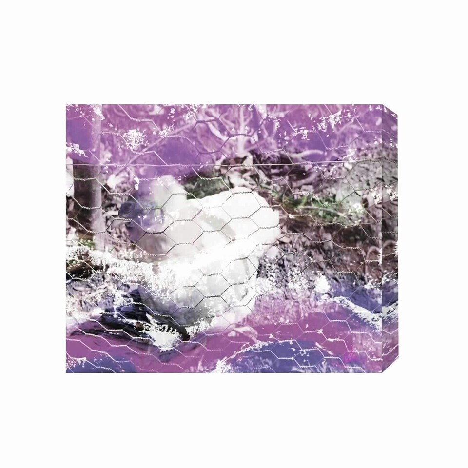 image 1 of CHICKHEN (Canvas Print) 36" x 24"
