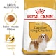image 1 of Royal Canin Cavalier King Charles Adult Dry Dog Food - 2 x 1.5 kg (3 kg) | Multi | 2 x 1.5kg | Turkey | 2