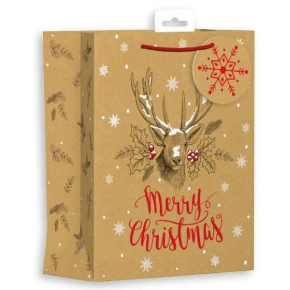 image 1 of Kraft Christmas Reindeer Design Medium Gift Bag