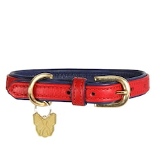 Digby & Fox Leather Padded Dog Collar - Scarlet - M - Neckline: 41cm-46cm