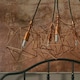 image 1 of ValueLights Jerome 5 Way Copper Ceiling Light Pendant