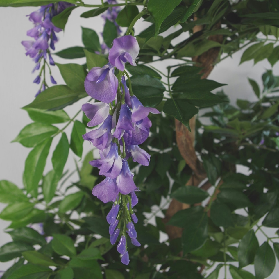 image 1 of Artificial 110cm Purple Wisteria Tree with Silver Metal Planter
