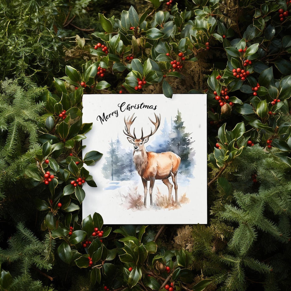 image 1 of Winter Stag - Plantable Wildflower Seed Christmas Cards - 5 Pack