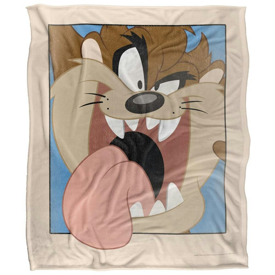 image 1 of Looney Tunes Framed Taz Blanket - Multicoloured - One Size